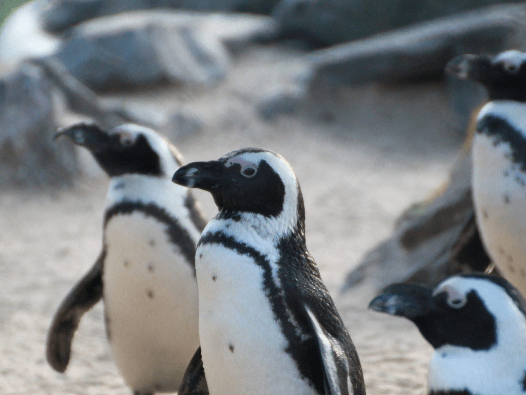 260530_WebseiteGaleriebild_Zootag
